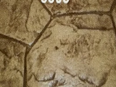 Orchard Stone stamped concrete pattern sample #8505